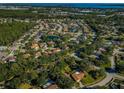Expansive aerial view of a residential neighborhood featuring mature trees, a pond, and nearby bay at 455 Cypress Lake Ct, Oldsmar, FL 34677