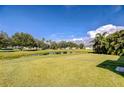 Expansive backyard featuring a large pond, lush grass, mature trees, and a picturesque view at 11567 Weston Course Loop, Riverview, FL 33579