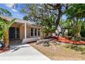 Inviting front entrance with lush landscaping, including palm trees and vibrant mulch beds at 1666 Pine Pl, Clearwater, FL 33755
