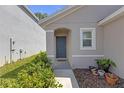 Charming home entrance featuring a gray front door and well-manicured landscaping at 36628 Spanish Rose Dr, Dade City, FL 33525