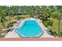 Community outdoor swimming pool surrounded by lush tropical landscaping and lounge seating at 10216 Regal Dr # 310, Largo, FL 33774