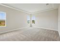 A bright bedroom featuring neutral carpet and a tray ceiling, with views from two windows overlooking an outdoor view at 35280 Big Hawk Ln, Zephyrhills, FL 33541