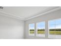Bright and airy bedroom offering a serene view of the nearby pond at 35579 Stableton Ln, Zephyrhills, FL 33541