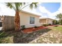A view of the front yard featuring a manicured landscape design and mature palm tree at 9816 Crofton Ln, Port Richey, FL 34668
