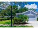 Exterior of a gray single-story home with a two-car garage, palm trees, and manicured landscaping at 10716 Ashford Oaks Dr, Tampa, FL 33625