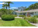 Beautiful front yard with mature trees, shrubs, and well-maintained lawn at 1240 Harbor Lake Dr, Largo, FL 33770