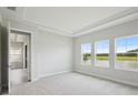Bright bedroom with plush carpet, tray ceiling, and three large windows overlooking the water at 35609 Stableton Lane, Zephyrhills, FL 33541
