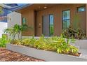Close-up of the modern front door with lush tropical landscaping at 500 38Th Ne Ave, St Petersburg, FL 33704