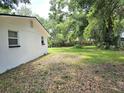 Spacious backyard with mature trees, offering ample room for recreation and relaxation at 6317 Buster Dr, Tampa, FL 33619