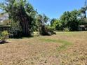 Large backyard with mature trees, a shed, and plenty of green space for outdoor activities at 1810 Alcorn Rd, Valrico, FL 33596