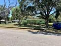 Well-kept, one-story home with mature trees, nice landscaping, and a blue car parked on the street at 1810 Alcorn Rd, Valrico, FL 33596