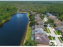 Scenic aerial view of homes backing up to a large lake surrounded by lush greenery and mature trees at 10522 Sky Flower Ct, Land O Lakes, FL 34638
