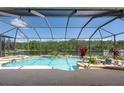 Relaxing screened-in pool with a lake view, surrounded by lush landscaping, perfect for outdoor living at 10522 Sky Flower Ct, Land O Lakes, FL 34638