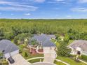 Gorgeous aerial view of a single-story home nestled among mature trees and lush landscaping at 6212 Nimes Ct, Lutz, FL 33558