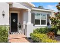 Welcoming front entrance with a stylish black door, manicured shrubs and attractive black shutters at 520 Valri Park Dr, Valrico, FL 33594