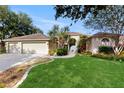 Charming single-story home with a lush lawn, palm trees and a three-car garage at 9408 Sayre St, Riverview, FL 33569