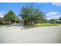 Single-story home with large front yard and long driveway at 1813 Nova Dr, Valrico, FL 33596