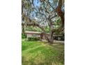 View of the home with a quaint porch surrounded by moss-draped trees at 6406 Congress St, New Port Richey, FL 34653