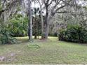 Spacious backyard with lush greenery and mature trees at 11002 Ridgedale Rd, Temple Terrace, FL 33617