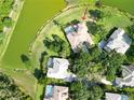 Overhead angle showcases a well-maintained backyard and pool area next to a pond with lush landscaping at 15101 Kestrelglen Way, Lithia, FL 33547