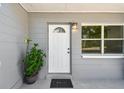 Close-up of the front door area with an ornamental plant, showing fresh paint and updated hardware at 1810 77Th N Ave, St Petersburg, FL 33702