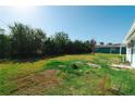 Spacious backyard with lush greenery and mature trees at 3614 Vasco St, Punta Gorda, FL 33950