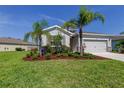 Beautifully landscaped front yard with lush green grass, palm trees, and mulch beds at 5920 Silver Palm Blvd, Bradenton, FL 34211