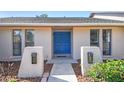 Inviting front entrance featuring double blue doors and unique exterior lighting at 1111 Lakemont Dr, Valrico, FL 33594