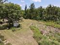 Picture of the sprawling backyard including a rustic shed surrounded by mature trees and nature at 17830 Simmons Rd, Lutz, FL 33548