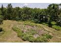 A view of the expansive property highlighting the natural beauty and vast land at 17830 Simmons Rd, Lutz, FL 33548