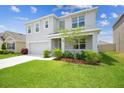 Charming two-story home with a well-maintained lawn and attached garage at 33524 Elm Hill Br, Wesley Chapel, FL 33545