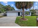 Well-maintained single-story home with a lush green lawn, accented by a mature palm tree and an American flag at 905 W Fribley St, Tampa, FL 33603