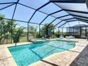 Relaxing screened-in pool and spa with a brick patio and lush landscaping at 13706 Osprey Fern Ln, Riverview, FL 33569