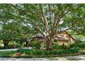 Beautifully landscaped home with mature trees providing shade and curb appeal, showcasing a well-maintained exterior at 17321 Oak Ledge Dr, Lutz, FL 33549