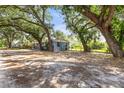 Single-story home with a spacious unlandscaped yard, covered in mature trees and native Florida vegetation at 2305 N 48Th St, Tampa, FL 33605