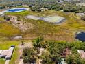 Expansive aerial view of lush greenery and ponds surrounding the property, showing its serene natural setting at 577 Waterfall Dr, Spring Hill, FL 34608