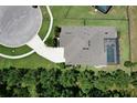 Aerial view of a home with a private pool, well-manicured yard, and a long driveway, all surrounded by lush greenery at 8016 Rock Spring Ct, Land O Lakes, FL 34638