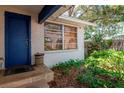 Charming front entrance with blue door, tropical plants, and natural textures at 1514 Florida Ave, Palm Harbor, FL 34683
