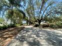 Long driveway approaching the home, shaded by mature trees and lush landscaping at 4711 W Vasconia St, Tampa, FL 33629