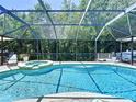 Inviting screened-in pool area with a jacuzzi, lounge chairs, and lush greenery at 6205 Chapel Pines Blvd, Wesley Chapel, FL 33545