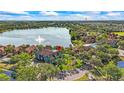 Aerial view of property near lake with fountain, showcasing surrounding landscape and community amenities at 9416 Lake Chase Island Way # 9416, Tampa, FL 33626