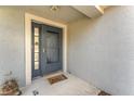A welcoming entrance featuring a front door with glass panels and a charming 'hello friends' doormat at 11620 Crest Creek Dr, Riverview, FL 33569