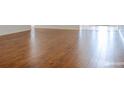 Stunning laminate flooring throughout the living space at 3095 Coronet Ct, Spring Hill, FL 34609