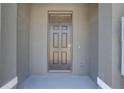 A simple, dark-colored front door on a covered porch offers security and style, inviting you into the home at 33062 Frosted Clover Way, Wesley Chapel, FL 33545