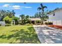 Attractive home with a well-manicured lawn, mature trees, and a long driveway leading to the residence at 3626 S Hesperides St, Tampa, FL 33629