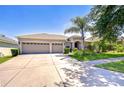 Charming home with a well-maintained lawn and a mature palm tree in the front yard at 445 Arch Ridge Loop, Seffner, FL 33584