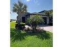Charming single-story home with well-manicured lawn and lush landscaping, including palm trees at 4652 San Martino Dr, Wesley Chapel, FL 33543