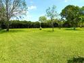 Expansive backyard featuring lush green lawn and mature trees under a clear blue sky at 9313 Lisbon St, Seffner, FL 33584