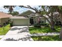 Charming single-story home with manicured lawn, an American flag, and shade trees at 10449 Hunters Haven Blvd, Riverview, FL 33578