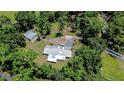 An aerial view showing the roof and the expansive surrounding green space and mature trees at 1931 Jaudon Rd, Dover, FL 33527